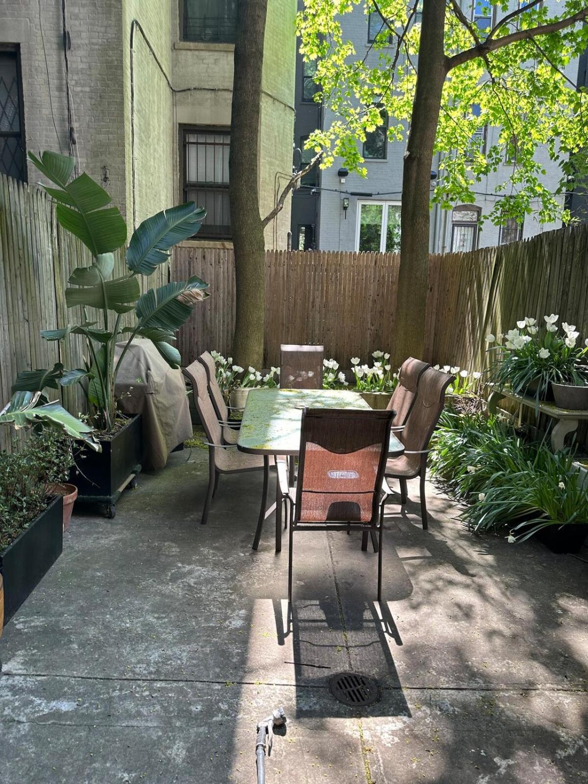 Gasthuis Harlem House *